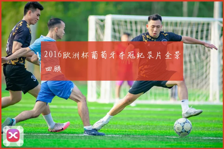 2016欧洲杯葡萄牙夺冠纪录片全景回顾