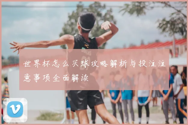 世界杯怎么买球攻略解析与投注注意事项全面解读