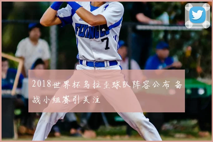 2018世界杯乌拉圭球队阵容公布 备战小组赛引关注