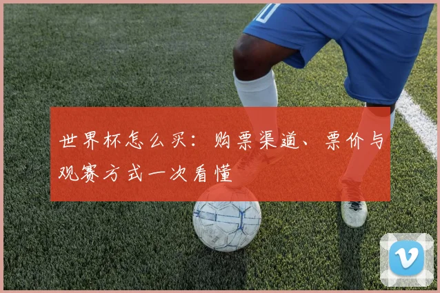 世界杯怎么买:购票渠道、票价与观赛方式一次看懂
