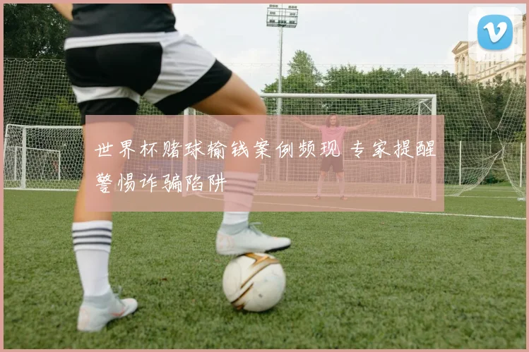 世界杯赌球输钱案例频现 专家提醒警惕诈骗陷阱