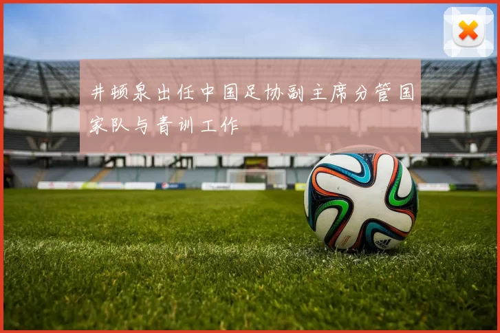 井顿泉出任中国足协副主席分管国家队与青训工作