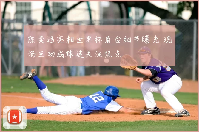 陈奕迅亮相世界杯看台细节曝光 现场互动成球迷关注焦点