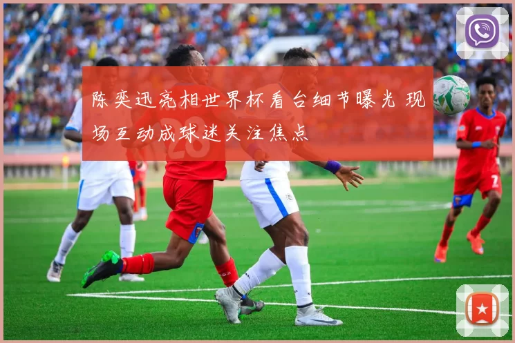 陈奕迅亮相世界杯看台细节曝光 现场互动成球迷关注焦点