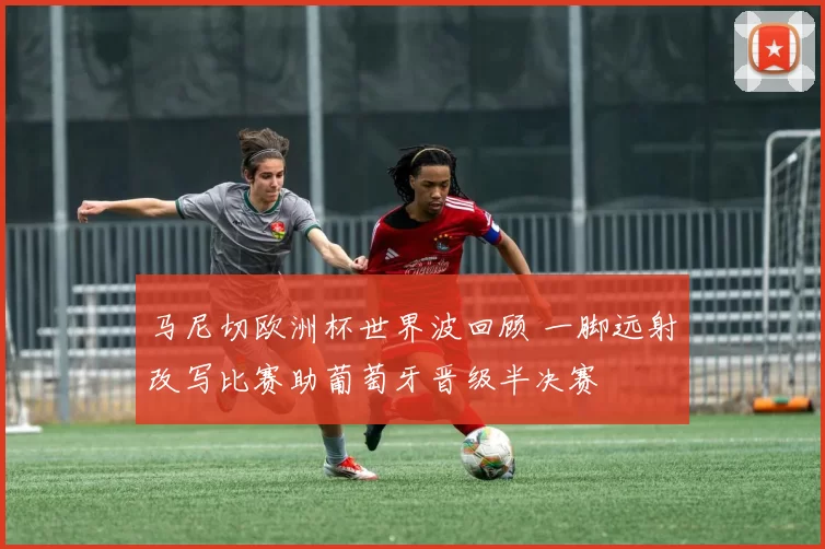 马尼切欧洲杯世界波回顾 一脚远射改写比赛助葡萄牙晋级半决赛