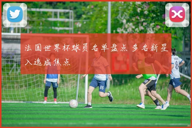 法国世界杯球员名单盘点 多名新星入选成焦点